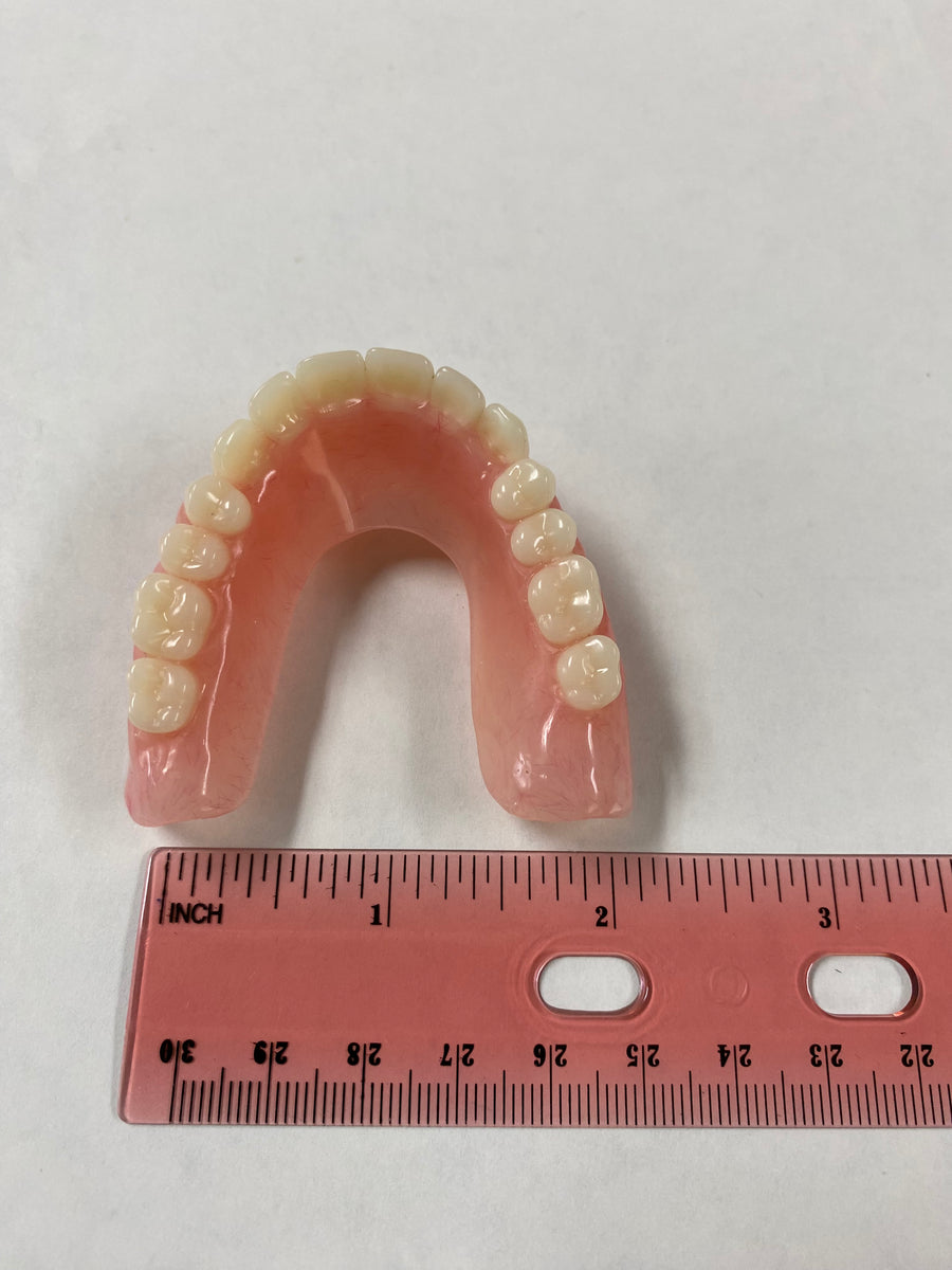 Upper UShape Horseshoe False Teeth Denture Saldentures