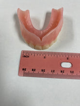 Load image into Gallery viewer, U-Shape Horseshoe Denture