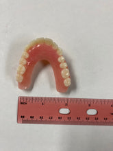 Load image into Gallery viewer, U-Shape Horseshoe Denture