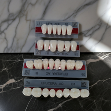 Load image into Gallery viewer, Full Mouth Set Upper And Lower  acrylic resin teeth shade B1 Size Extra Large