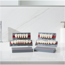 Load image into Gallery viewer, Full Mouth Set Upper And Lower  acrylic resin teeth shade B1 Size Extra Large
