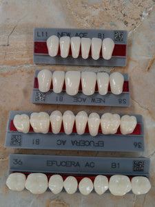 Full Mouth Set Upper And Lower  acrylic resin teeth shade B1 Size Extra Large