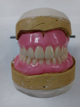 Load image into Gallery viewer, Dentures Upper And Lower Medium Pink Full set Acrylic False Teeth A2 Shade Size Lower 2.5 inches Size upper 2.5 Inches