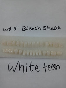 Resin Acrylic Teeth Bleach White Shade Full Set Size Medium