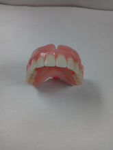 Load image into Gallery viewer, Denture Medium Upper Pink Size 2.5 Inches Shade B1