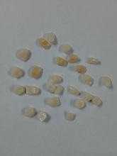 Load image into Gallery viewer, Loose teeth Acrylic Resin 25 pieces