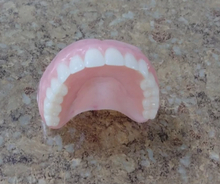Load image into Gallery viewer, Upper False Teeth Medium Full Denture